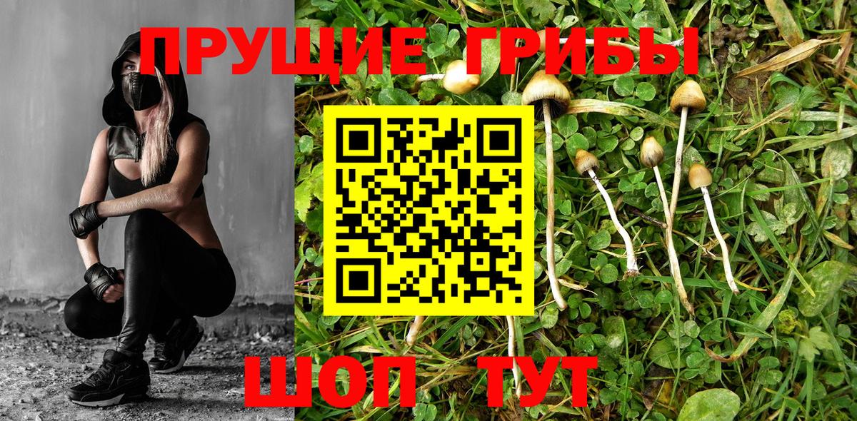 Псилоцибиновые грибы мухоморы  Вход с VPN  Домодедово 